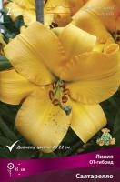 Лилия ОТ-Гибрид Салтарелло (12/14) 3 шт 847868