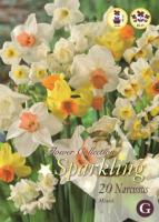 Нарцисс микс 10/12