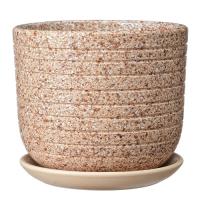 Пряности бежевый бук №3 2,9л