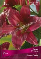 Лилия ОТ-Гибрид Пёпл Принц (12/14) 3 шт 847863