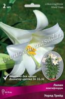 Лилия Лонгифлорум Уорлд Трейд (14/16) 2 шт