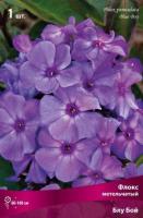 Флокс метельчатый Блу Бой (I) 1 шт