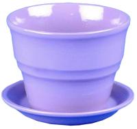 Кактусник Колибри Глянец сирен 10,5см/510665