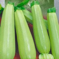 Кабачок Грибовские 37 500г