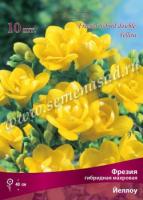 Фрезия гибридная махровая Йеллоу