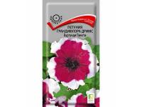 Петуния грандифлора Дримс Бургунди Пикоти 15 шт