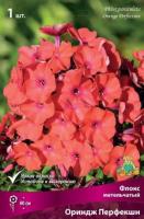 Флокс метельчатый Ориндж Перфекшн (I) 1 шт