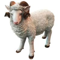 Баран 626319/F470