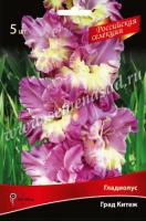 Гладиолус Крупноцветковыей Российская селекция Град Китеж (12/+) 5 шт