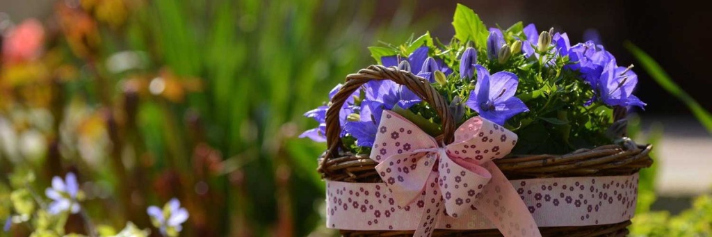 1500x50021.jpg 1500x50021.jpg