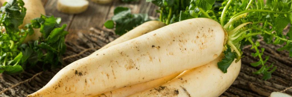 дайкон5.png дайкон5.png