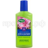 DS_250_azalii_2017_copy_750 DS_250_azalii_2017_copy_750