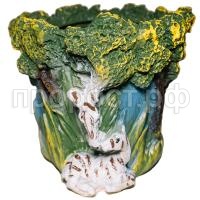 жирафы жирафы