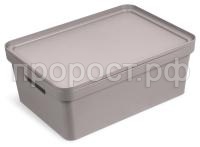 фортуна 38ксер