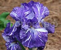 НоменклатураПрисоединенныеФайлы НоменклатураПрисоединенныеФайлы