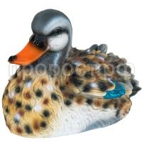 К169026_3 К169026_3