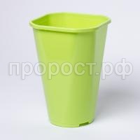 IMG_9404 2 IMG_9404 2