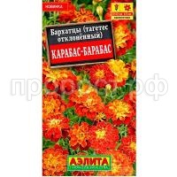 С169610_0 С169610_0