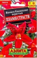 ипомея пламя ипомея пламя