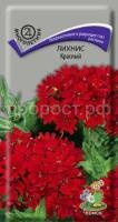 Лихнис Красный Лихнис Красный