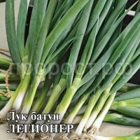 Лук Батун Легионер 10 г Лук Батун Легионер 10 г
