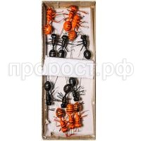 муравьи муравьи