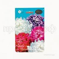 Астра смесь Пионовидных Махаон 201 Каприс Астра смесь Пионовидных Махаон 201 Каприс