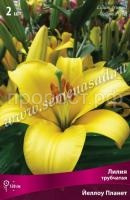 Лилия Трубчатая Йеллоу Планет (14-16) 2 шт 706483 Лилия Трубчатая Йеллоу Планет (14-16) 2 шт 706483