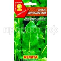 щавел широк