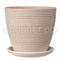 Халва бежевый крокус Халва бежевый крокус