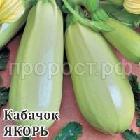 Кабачок Якорь 25 г Кабачок Якорь 25 г