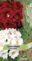 Глоксиния Жозефина Глоксиния Жозефина