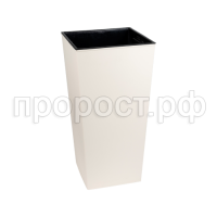 9qe9m1uszm7tpr0wr300d2o3pp1j1o5a 9qe9m1uszm7tpr0wr300d2o3pp1j1o5a