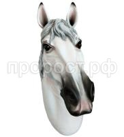 голова белая голова белая