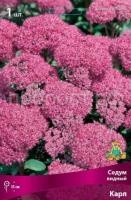 Седум видный Карл