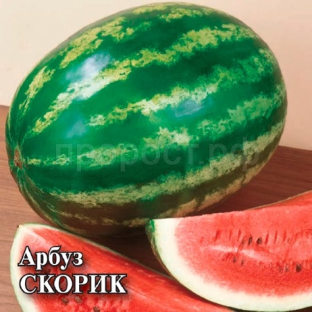 Арбуз Скорик 50 гр