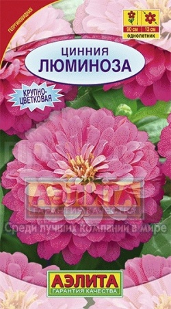 Цинния Люминоза георгиновидная