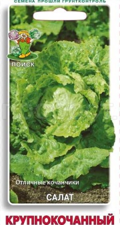 Салат Крупнокочанный 1 гр 
