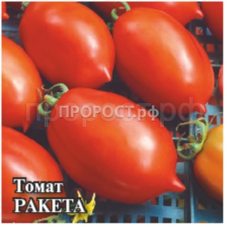 Томат Ракета 5 г