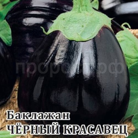 Баклажан Черный красавец 25 г