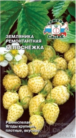 Земляника Белоснежка 0,04г 