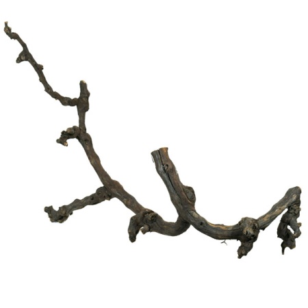Декор Виноградная коряга для террариума 75-100см
