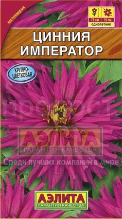 Цинния Император Кактусовидная 