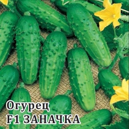 Огурец Заначка F1 100 шт 
