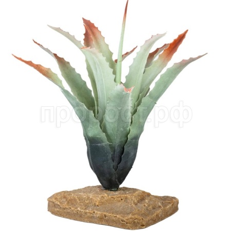 Растение LUCKY REPTILE Tillandsia 20см (Германия) IF-80