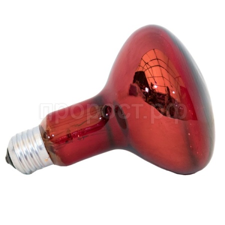 Лампа-термоизлучатель ИКЗК-230-100 R95 Е27 красная для цыплят,поросят(продаем ящиком30шт/Калашниково