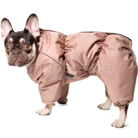 Комбинезон зимний Французский бульдог бежевый S 35см/12212138/Триол