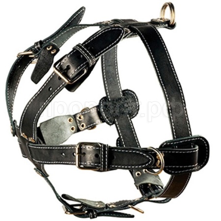 Шлейка кожа 35мм с треугольником двойная шея 72-92см грудь 95-105см/01001011/Каскад