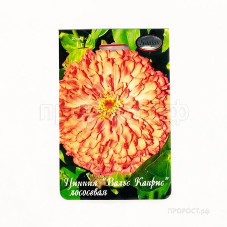 Цинния Вальс Каприс желто-кремовая 20*1