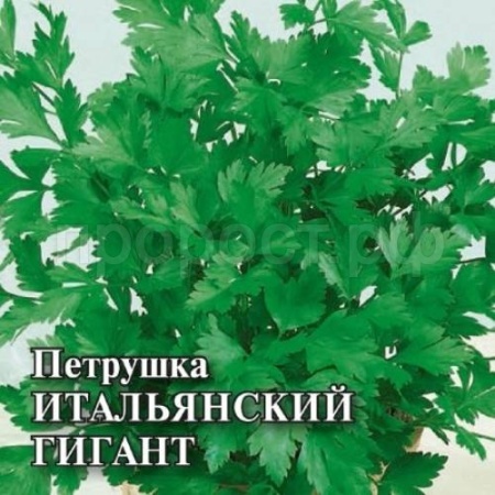 Петрушка Итальянский гигант 100г